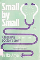 Small by small book cover