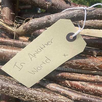 Label written by members of the North London Ukrainian Hub reflecting on the significance of the vineyard. Photo credit: Derek Grant 