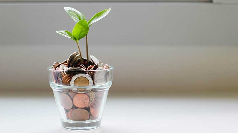 A tiny plant growing out of a cup full of coins